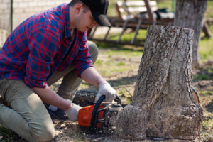 stump removal Adelaide