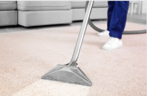 fast rug cleaning Adelaide