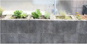 garden wall concreting