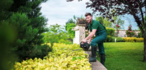 landscaping cost
